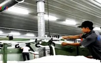 Ngành dệt may nhập khẩu bông tăng đột biến