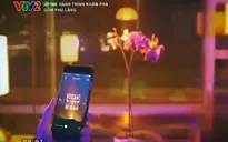 Bóng đèn thông minh tự thay đổi màu sắc