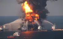 BP tăng tiền bồi thường cho sự cố tràn dầu năm 2010