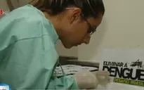 Brazil xác định loại virus ảnh hưởng tới não bộ trẻ sơ sinh
