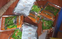 Trục xuất một người Trung Quốc dùng hóa chất khai thác giun