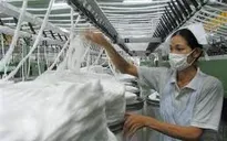 Bạn biết gì về bệnh phổi nghề nghiệp?
