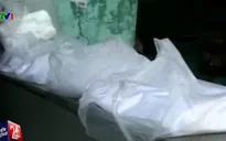 Ấn Độ cấm buôn bán và sử dụng túi nilon số lượng lớn tại Uttar Pradesh