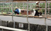 Ngang nhiên buôn bán, lấn chiếm vỉa hè trên cầu Long Biên