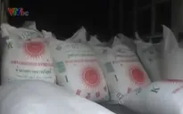 Bắt giữ nhiều vụ buôn lậu đường cát tại Tây Ninh và Long An