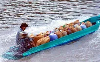 Bắt quả tang vụ sang mạn xăng dầu trái phép