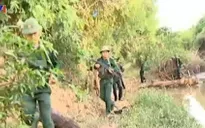 Bình Phước: Gia tăng nạn buôn lậu thuốc lá