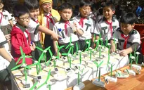 TP.HCM: Hiệu quả từ mô hình trường học xanh