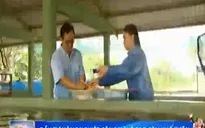 TP.HCM: Đầu tư nông nghiệp công nghệ cao còn khó khăn