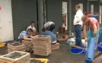 Bồ Đào Nha: Làng chài truyền thống đứng trước nguy cơ mất nghề