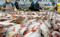 Ấn tượng xuất khẩu thủy sản Việt Nam năm 2014