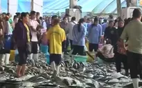Thái Lan đối mặt với áp lực phải cải tổ ngành thủy sản