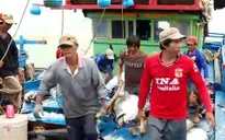 Nhật Bản xúc tiến thu mua, chế biến cá ngừ đại dương tại Phú Yên