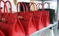 Sự thật kinh hoàng đằng sau những chiếc túi hàng hiệu