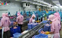 Lùi thời gian thực hiện quy định mới về xuất khẩu cá tra