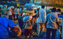 Báo động tình trạng lao động trẻ em tại Ấn Độ