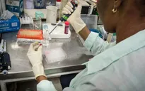 Phát hiện mới về thuốc điều trị ung thư từ vaccine sốt rét
