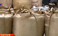 Xuất khẩu cà phê sụt giảm hơn 30%