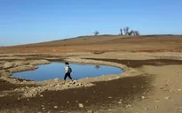 Thiếu nước trầm trọng tại California, Mỹ