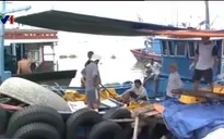 Tây Ninh cấm khai thác cá tận diệt trong mùa sinh sản