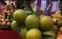 Lễ hội cam Cao Phong lần thứ nhất tiêu thụ gần 20 tấn cam