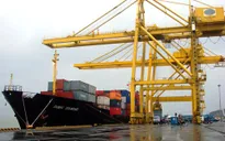 Nhà đầu tư nội xếp hàng mong muốn khai thác cảng biển