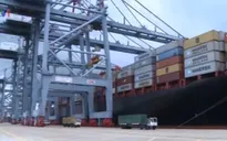 Cần mô hình mới cho phát triển cảng biển Việt Nam