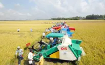 An Giang xúc tiến đầu tư nông nghiệp, nông thôn