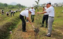 Ra quân chiến dịch phủ xanh các tuyến cao tốc
