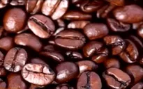 Cà phê Đà Lạt được bán trong cửa hàng Starbucks