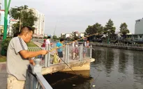 TP.HCM: Sẽ xử phạt nặng việc câu cá trên kênh rạch nội thành