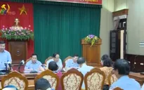 Hà Nội: Xử lý nghiêm trường hợp trồng cây sai quy định
