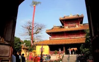 Tục dựng cây nêu ngày Tết