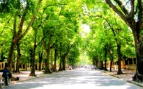 Quy hoạch cây xanh đô thị thế nào là hợp lý?