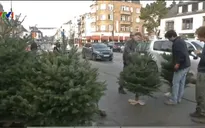 Không khí trước lễ Noel tại Vương quốc Bỉ