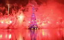 Brazil: Gần 200.000 người đến chiêm ngưỡng cây thông Noel nổi lớn nhất thế giới