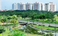 [INFOGRAPHIC] Tác dụng tích cực của cây xanh với đô thị