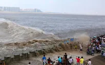Hãi hùng cảnh thuỷ triều cực mạnh cuốn trôi du khách bên sông Tiền Đường