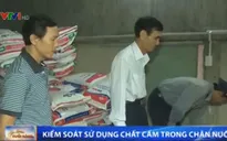 TT-Huế: Tăng cường kiểm soát chất cấm trong chăn nuôi