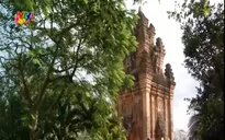 Tháp Chăm cổ những ngày đầu năm mới