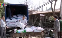Liên kết sản xuất - Mô hình phát triển ngành chăn nuôi