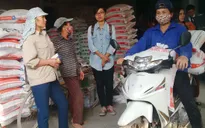 Gia tăng sử dụng chất cấm trong chăn nuôi