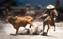 Charreria - môn thể thao đậm bản sắc Mexico