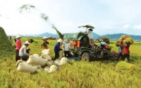 Chính sách tín dụng mới cho nông nghiệp