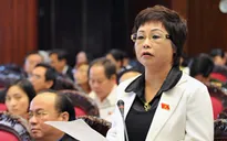 Hà Nội tạm đình chỉ nhiệm vụ đại biểu HĐND Châu Thị Thu Nga