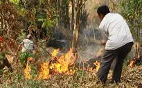 Sơn La: Liên tiếp xảy ra các vụ cháy rừng