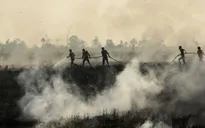 Indonesia triển khai thêm 1.600 binh sĩ chống cháy rừng