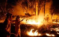 Cháy rừng tại Australia: Hàng nghìn người phải sơ tán