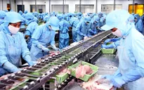 Brazil nhập khẩu trở lại thủy sản Việt Nam