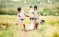 Chiếu miễn phí 20 phim truyện Việt Nam tranh giải Bông Sen Vàng